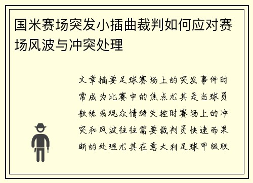 国米赛场突发小插曲裁判如何应对赛场风波与冲突处理